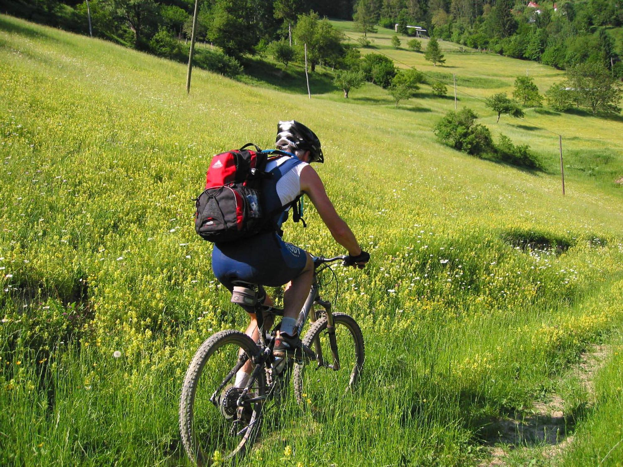 Hotel Center Pokljuka Goreljek Εξωτερικό φωτογραφία